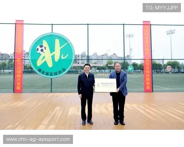 足球联赛在青训中推广多元评价体系与长期跟踪机制，足球青训理念
