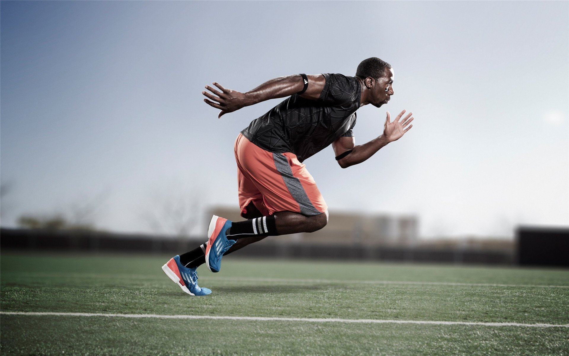 中国台北体育团队未来发展:全力备战国际赛事,台北体育中心