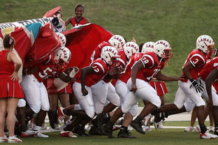 爱游戏官网充值-中超球队是否在青训人才管理方面存在短板，中超俱乐部青训梯队